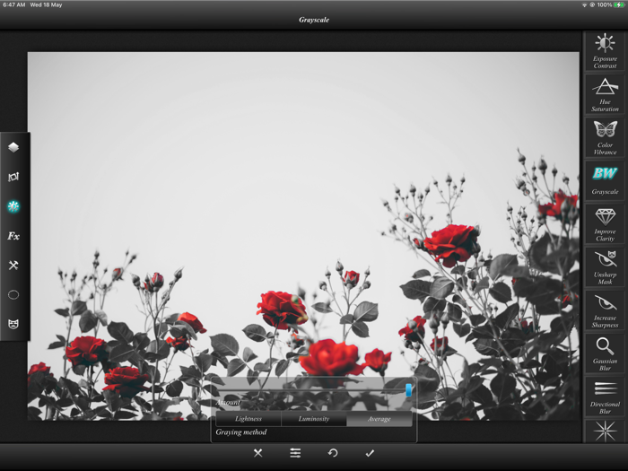 Leonardo - Photo Layer Editor