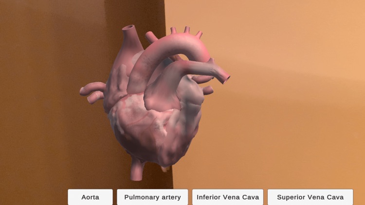 Sprout Anatomy AR screenshot-5