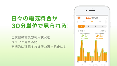 auでんき　電気が見える！電気の使いすぎも... screenshot1