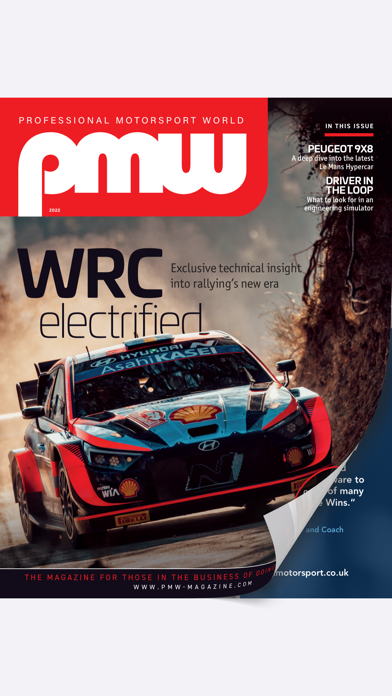 Professional Motorsport World Screenshot