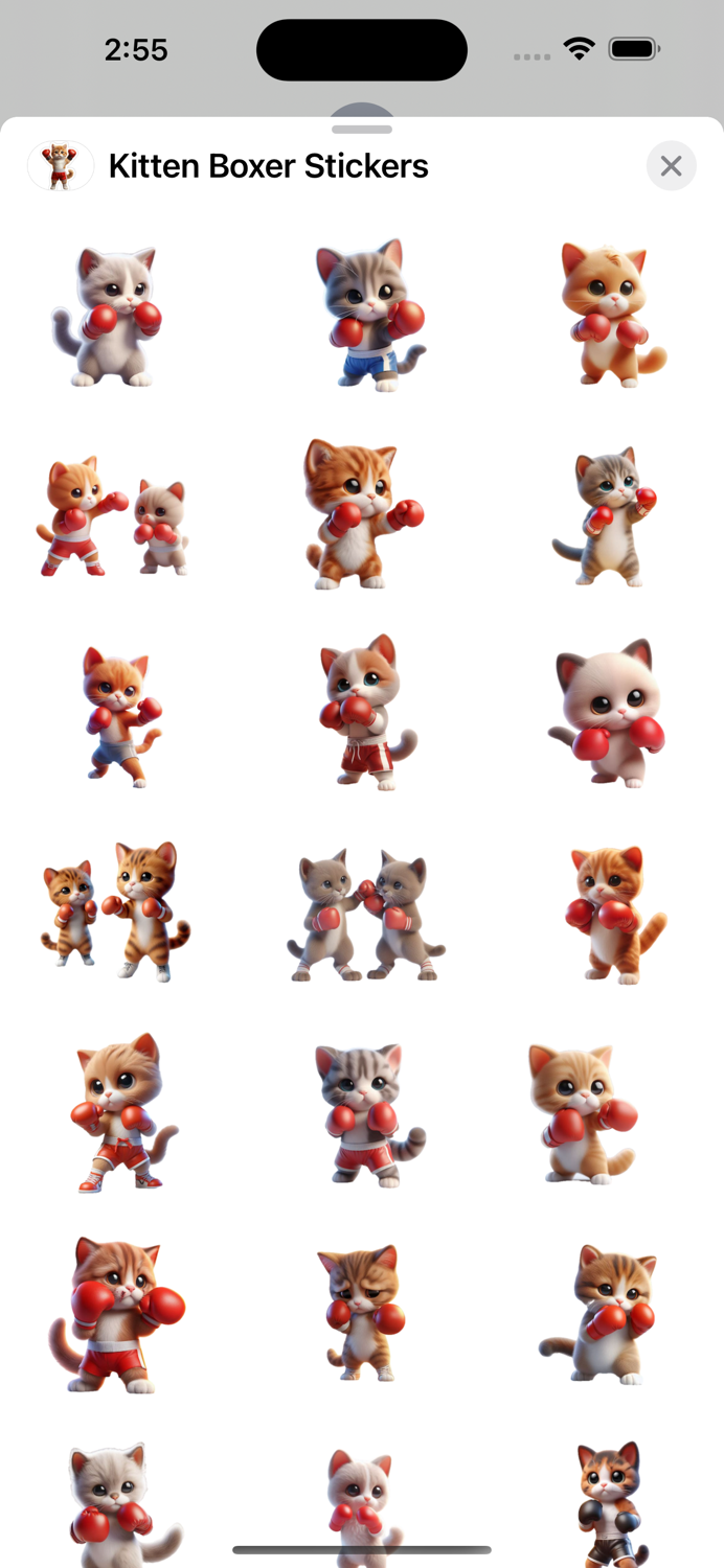 Kitten Boxer Stickers