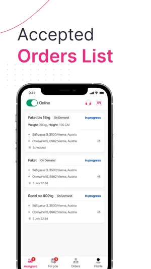 Driver PiNK.Ex screenshot 3