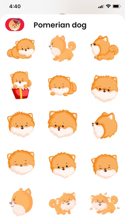 Baby Pomeranian Stickers