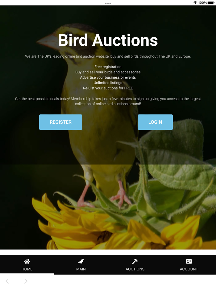 Bird Auctions