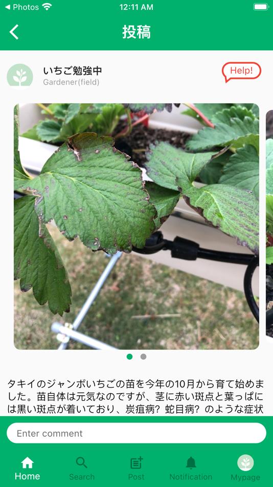 #3. SCIBAI, Diag. & SNS for veggie (iOS) 由: 株式会社ミライ菜園