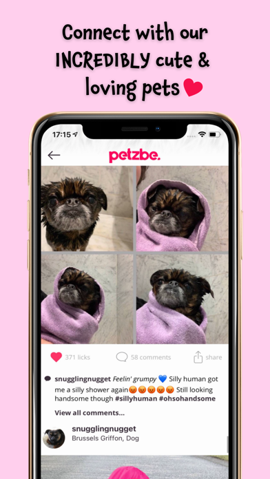 Petzbe: No Humans Allowed! Screenshot