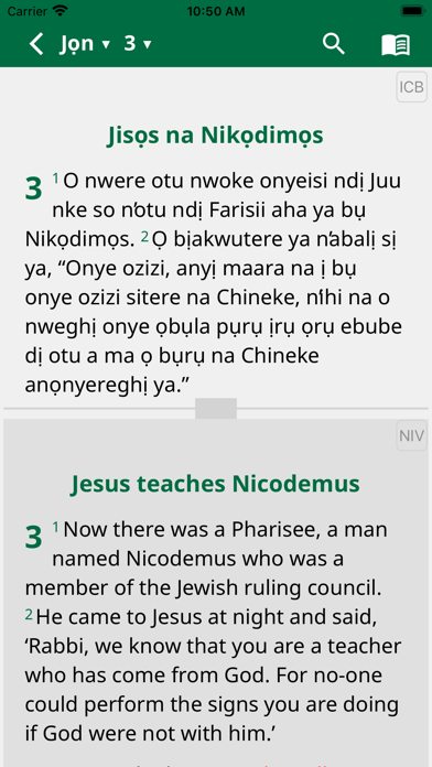 Igbo Contemporary Bible Screenshot