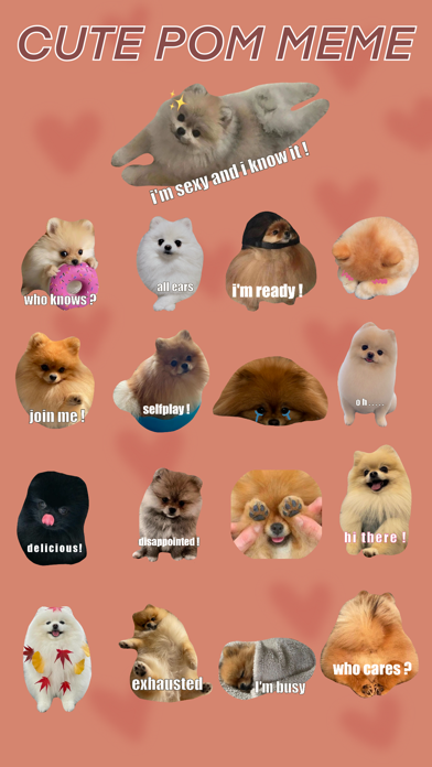 Cute Pom Meme Screenshot