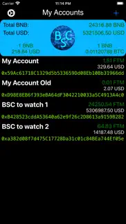 bsc explorer iphone screenshot 1