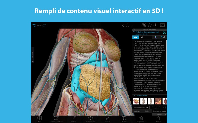 Screenshot #1 pour Atlas d'anatomie humaine en 3D