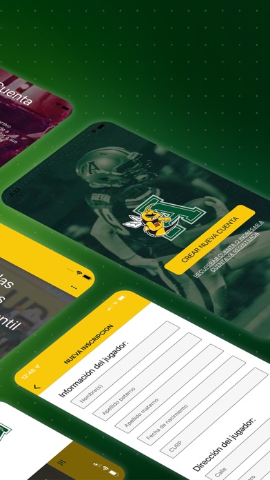 Avispones App Screenshot