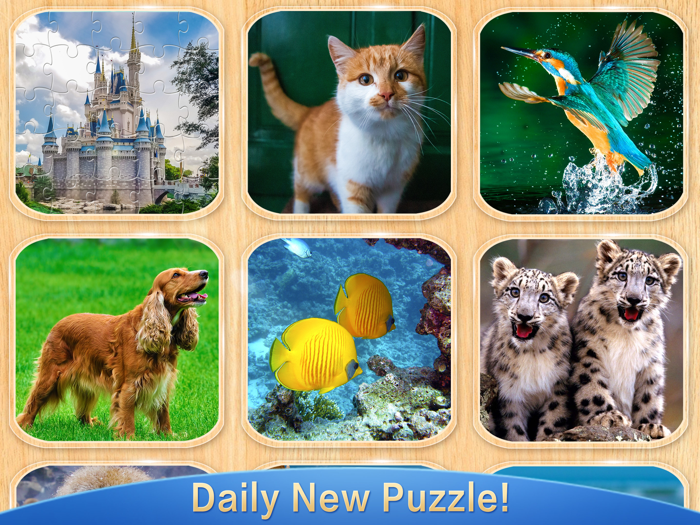 Jigsaw Puzzles - Happy Puzzler