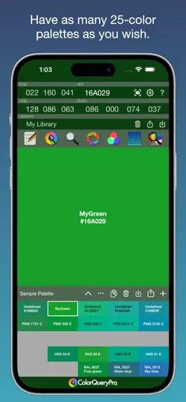 Game screenshot ColorQueryPro mod apk