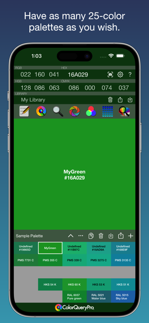 ‎ColorQueryPro Screenshot