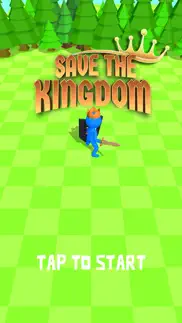 save the kingdom 3d iphone screenshot 1