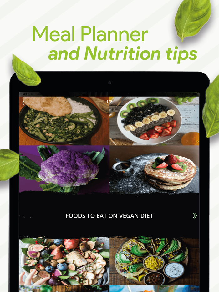 Vegan Recipes  Meal Planner