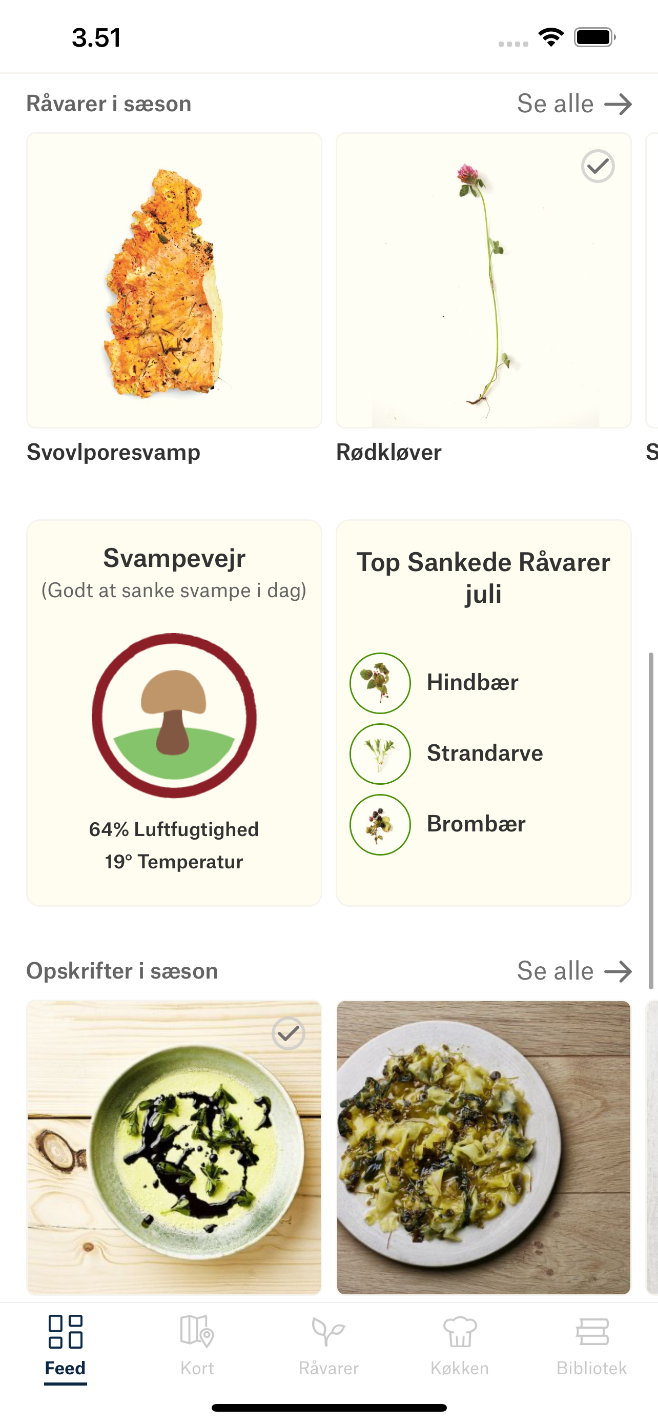 VILD MAD