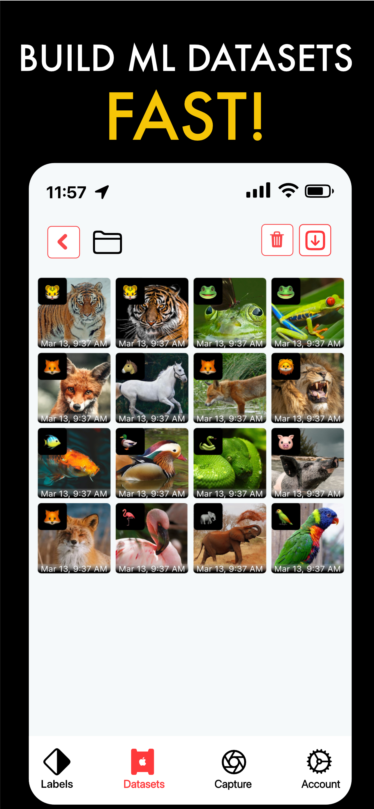 AI Capture: Create ML Datasets