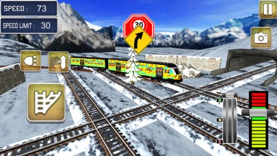Euro Train Driver Game Screenshot