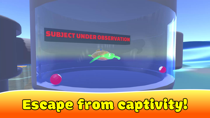 Super Star Rocket Go Fish