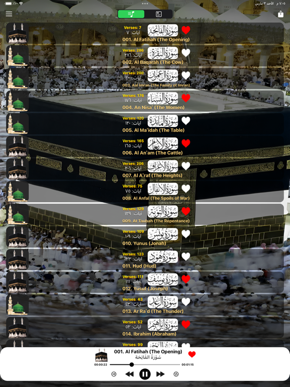 Screenshot #4 pour Quran Hindi Tarjuma and Tafsir