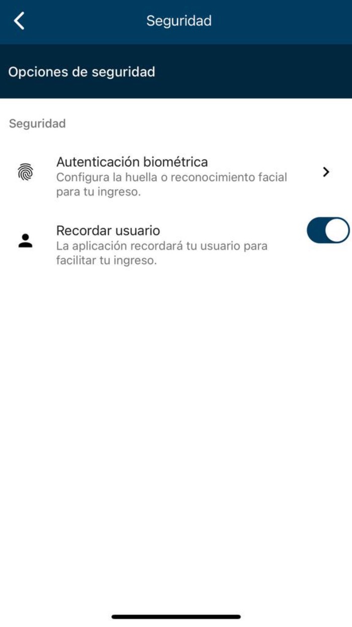 Ejecutivos WeBrokers