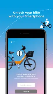 oleander e-bikes problems & solutions and troubleshooting guide - 3