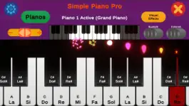 Game screenshot Simple Piano Pro apk