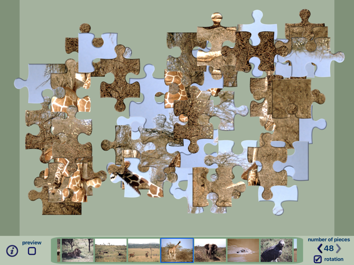 African Wildlife Puzzles