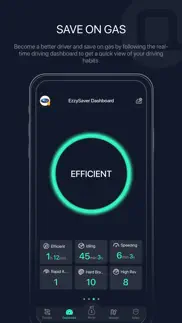 zus - save car expenses problems & solutions and troubleshooting guide - 3