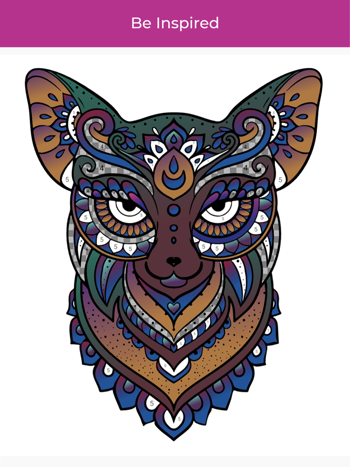 Coloring Book by Number Pro