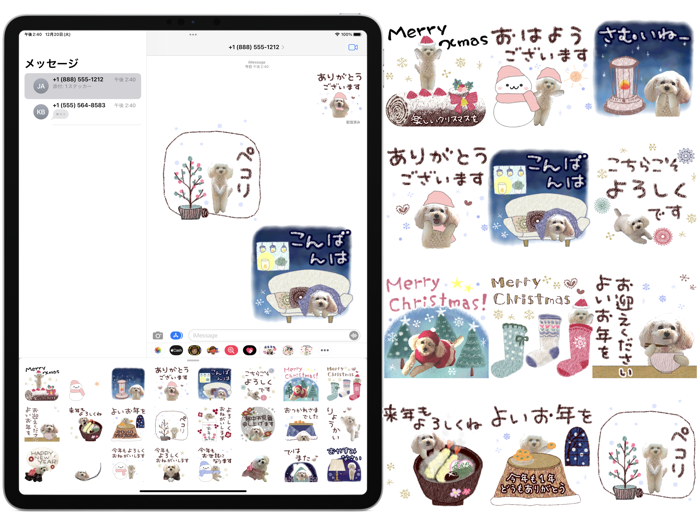 トイプードルるんるん＊年末年始