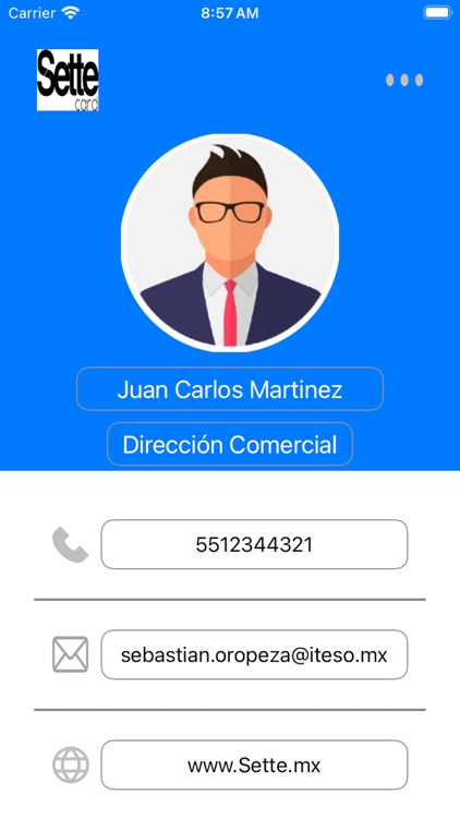 Sette Vcard screenshot-3