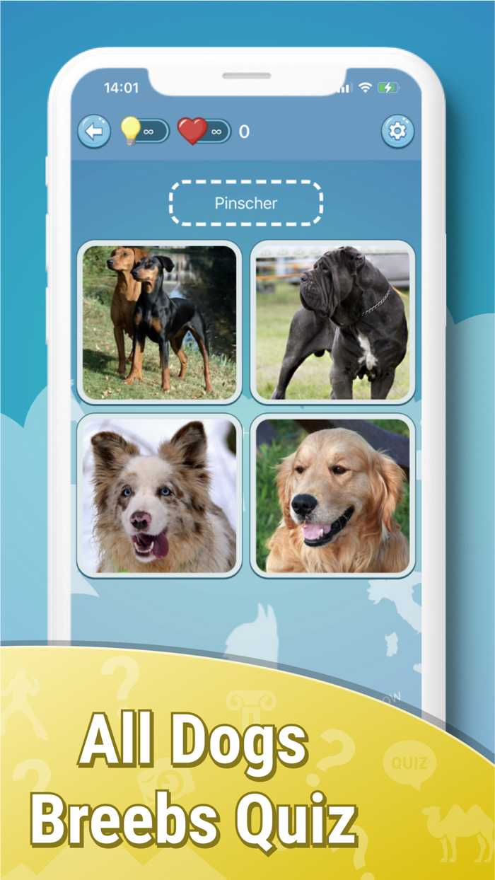 Quiz guess all cute dog breeds