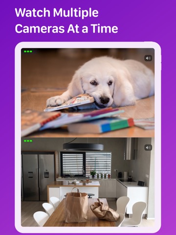 Pet Monitor VIGIのおすすめ画像7