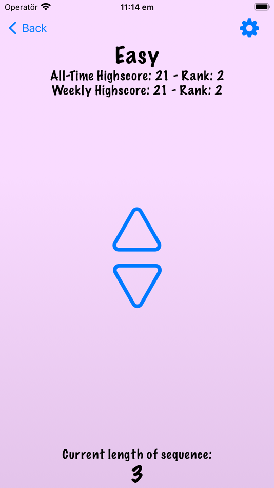 #2. Memorize! The Game (iOS) By: Patrik Ell