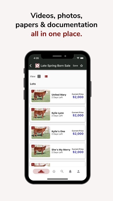 Sale Day Screenshot