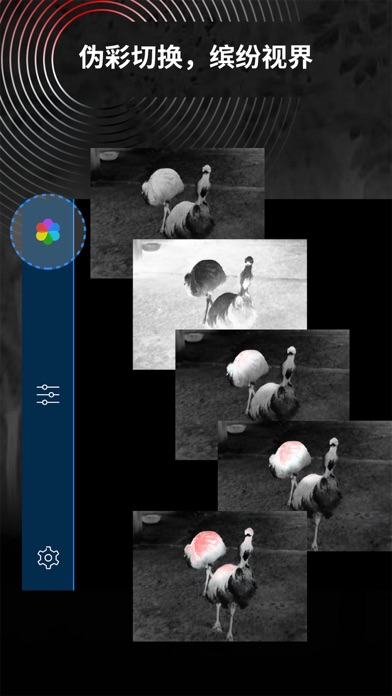 vidar Screenshot