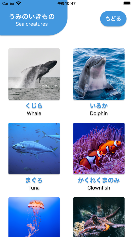 #3. はじめてのずかん (iOS) 由: Tetsuya Asano