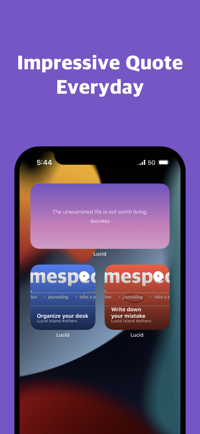 Lucid Island - Mental Wellness