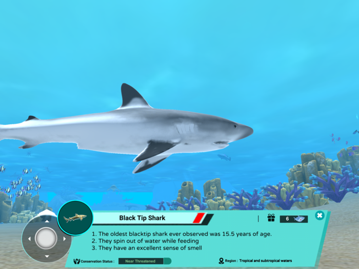 Virtual Divers International