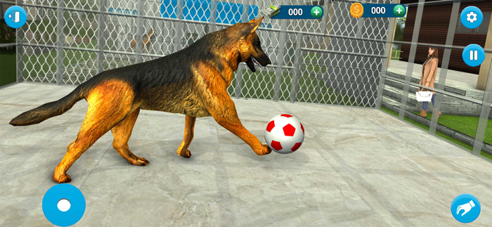Animal Care Dog Shelter 3D