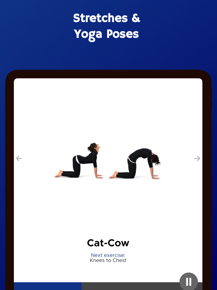 Perfect Posture in 30 Days