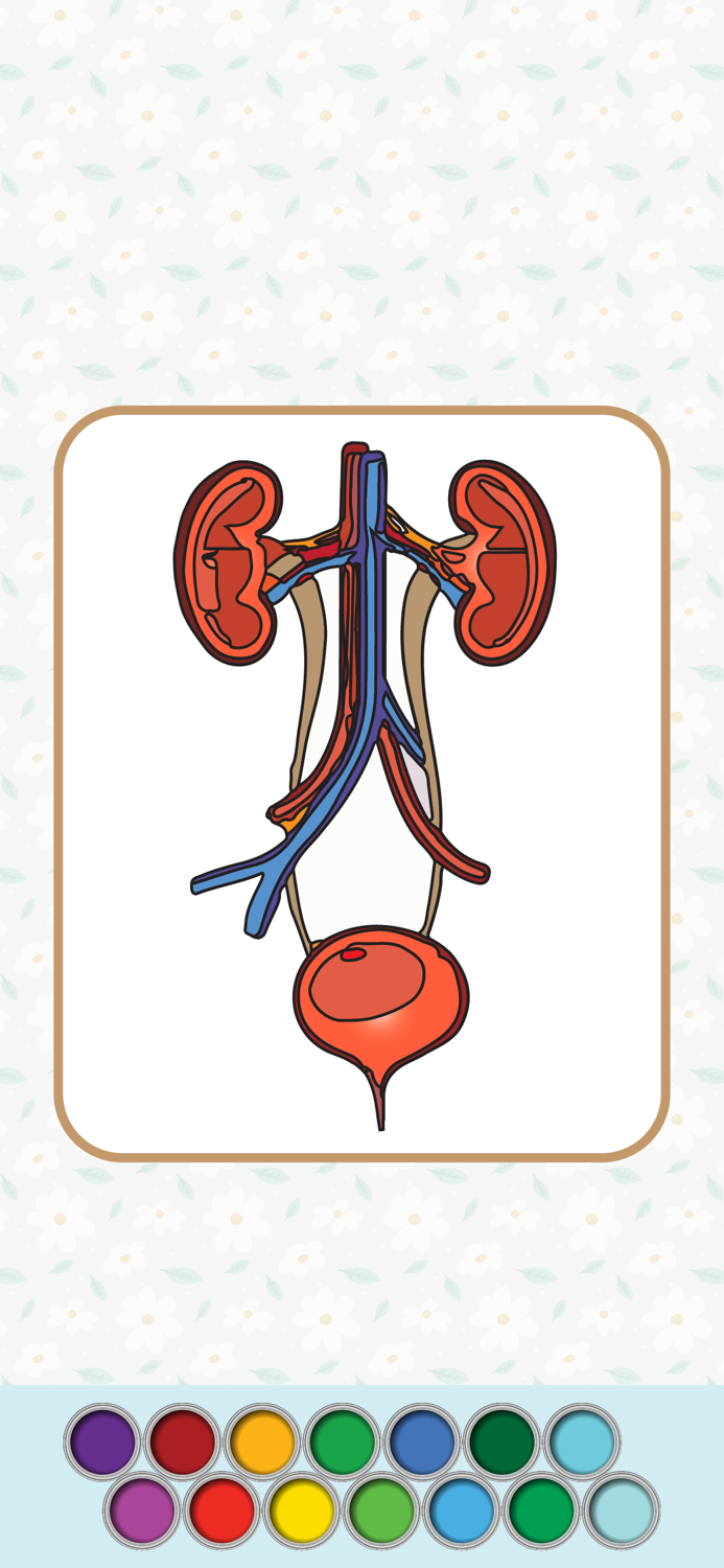 Anatomy Coloring Book.