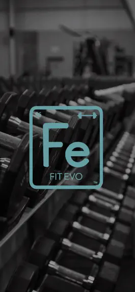 Game screenshot Fit Evo Online mod apk