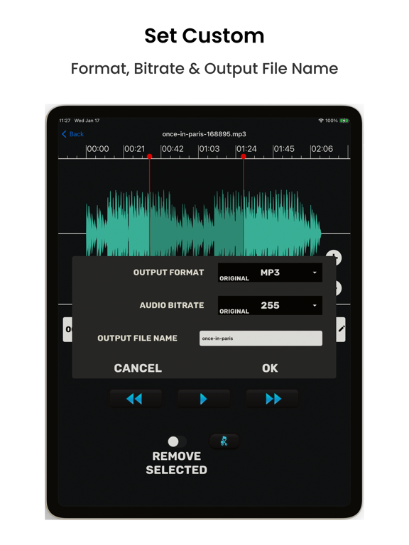 Screenshot #5 pour Audio Cutter Converter Merger