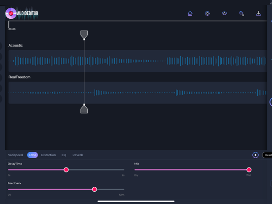 Screenshot #6 pour Audio Editor'