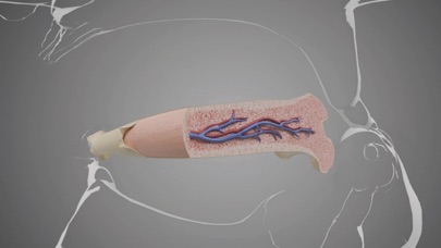 Virtual Reality Human Body! Screenshot