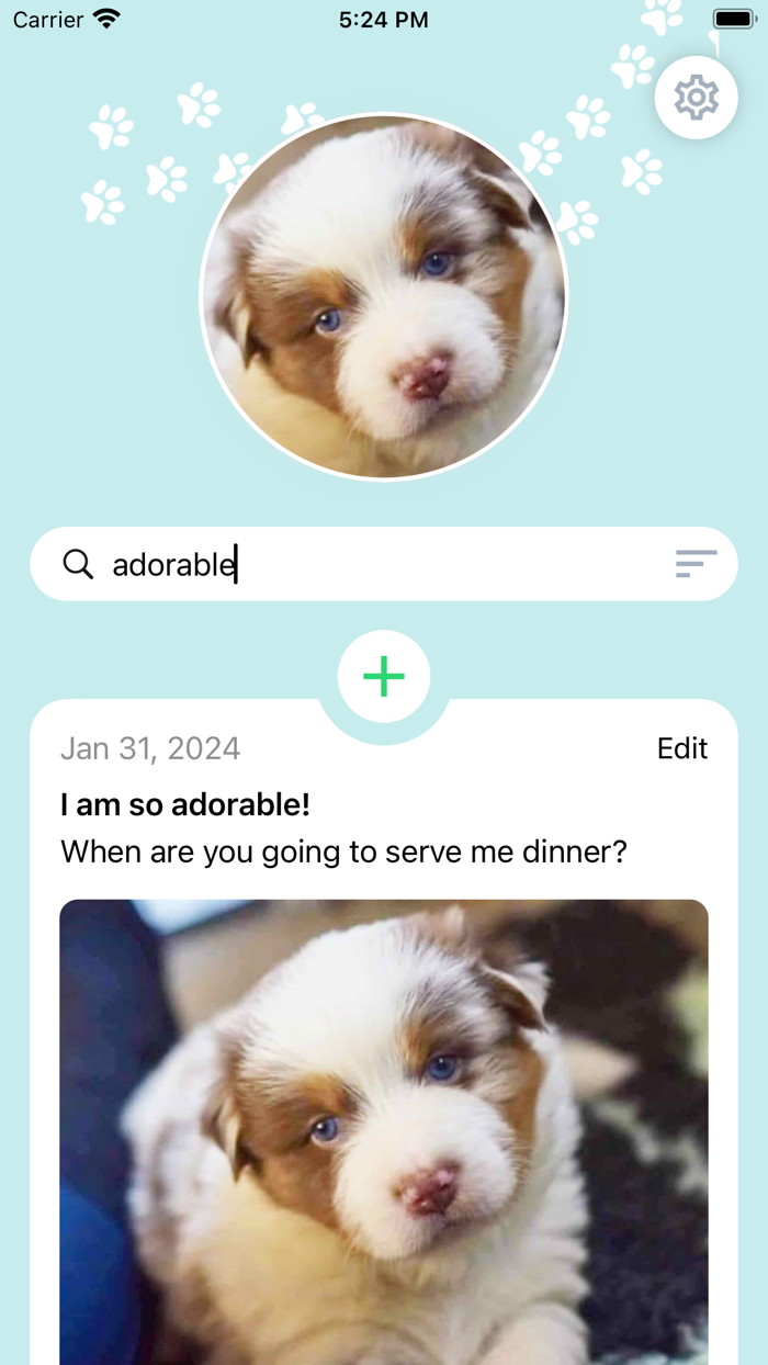 My Dog Diary - Photos