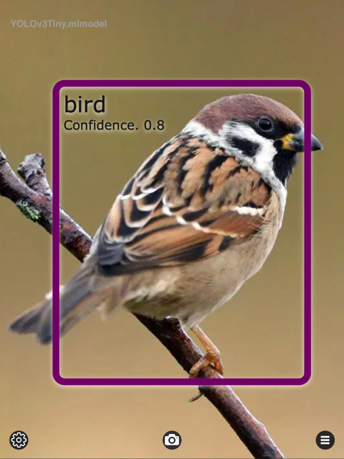 Object Detection Cam